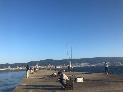 青物パラパラ タチウオ回遊なし