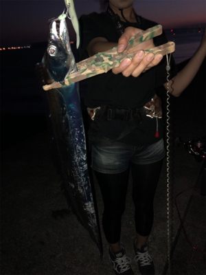 タチウオ爆釣!!