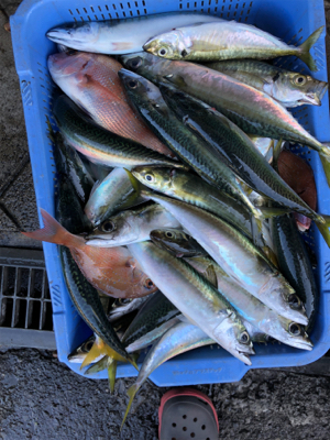 初島沖で船釣り