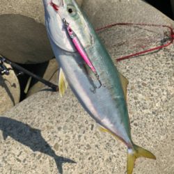 朝まづめのショアジギング