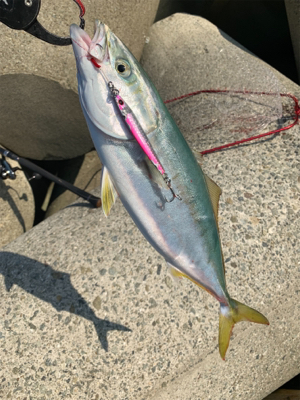 朝まづめのショアジギング