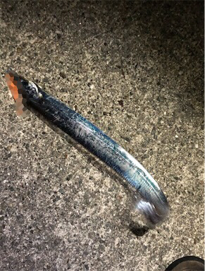 LSJ自己新記録更新