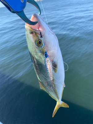 爆釣、されど、娘に完敗！