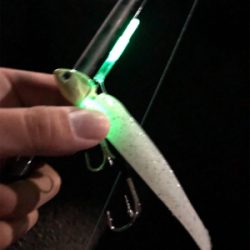 シーズン来たかな