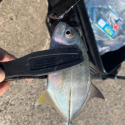 メッキフィーバー