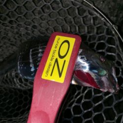 どうにかなった。