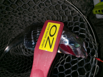 どうにかなった。