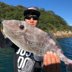 つりぴぃぽぉ釣果