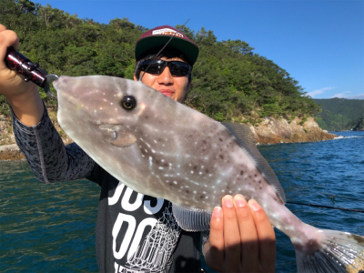 つりぴぃぽぉ釣果