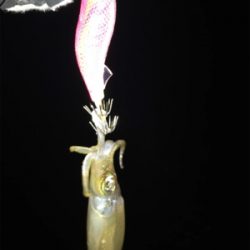 ムラムラチェリーでアオリイカGET (^.^)