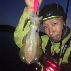 初!坊勢島遠征エギング♪GUNNING-STYLE