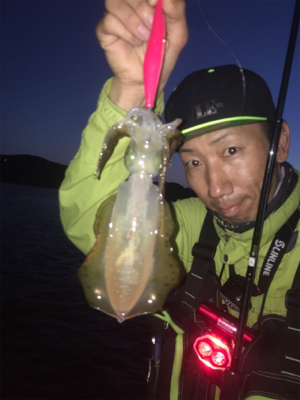 初!坊勢島遠征エギング♪GUNNING-STYLE