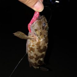 神聖なところで釣り遊び