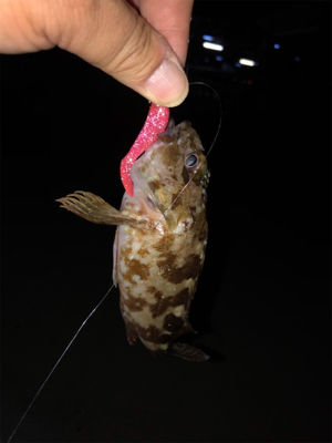 神聖なところで釣り遊び