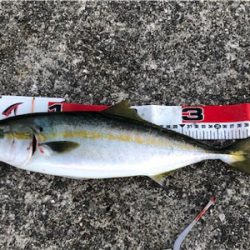 連チャンポーアイ沖堤