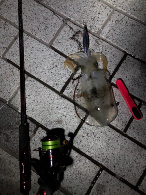 ランガンエギング