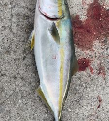 久しぶりのエサ釣り