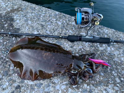 キロアップ含む3杯