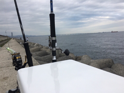 なんとか初タチウオ