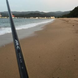 こんなもんです