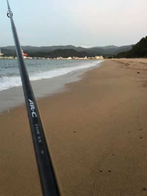 こんなもんです