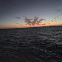 ホームでも釣れだした！