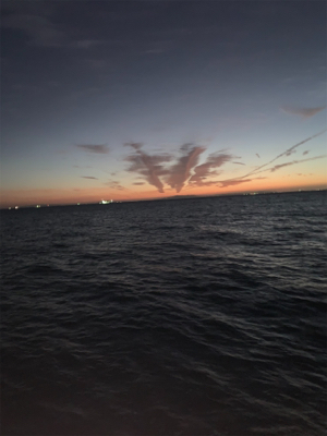 ホームでも釣れだした！