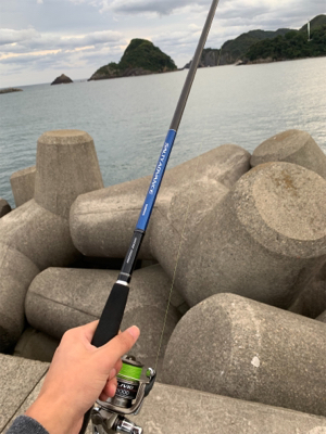 サゴシ入れ食い