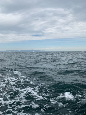 タチウオテンヤ