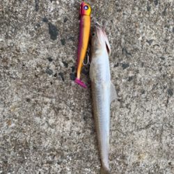 遠征ショアジギング