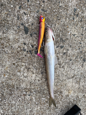 遠征ショアジギング