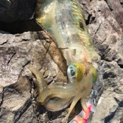 新子と遊んでもらおう！