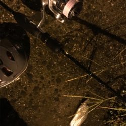 久々ライトゲーム