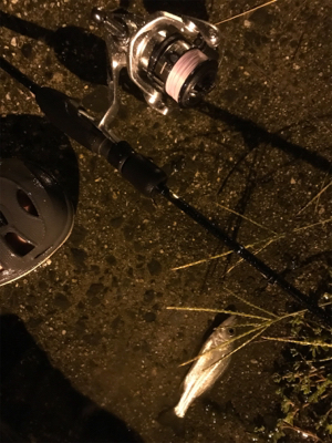 久々ライトゲーム