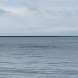 寝坊で遅刻と届かぬナブラ