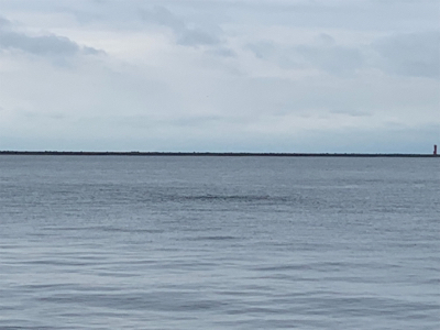 寝坊で遅刻と届かぬナブラ