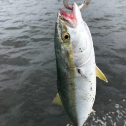 渋い中、粘って粘って…