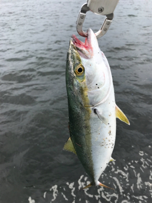 渋い中、粘って粘って…