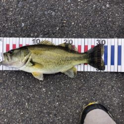 爆釣モード突入！！！！？