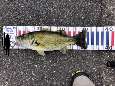 爆釣モード突入！！！！？