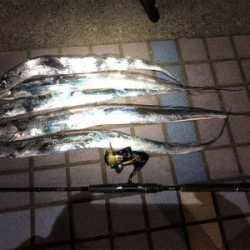 朝夕のタチウオ2ラウンド