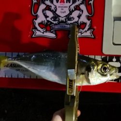 アジング練習21