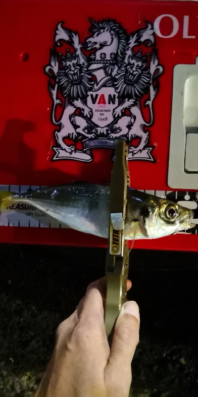 アジング練習21