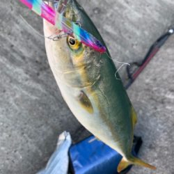 ショアジギング