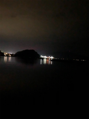 夕マズメのみの釣行