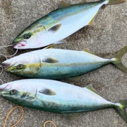 成長がみえる！！！