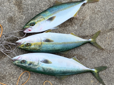 成長がみえる！！！