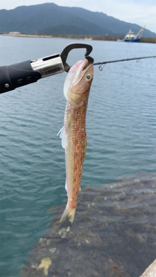 釣り強化合宿にて…