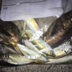 楽しめました！