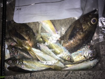 楽しめました！